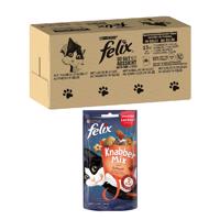 120x85g Felix Fantastic 1. halválogatás nedves macskatáp+60g Grill Fun macskasnack ingyen