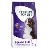 12kg Concept for Life száraz kutyatáp 15% kedvezménnyel! - X-Large Adult