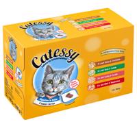 Catessy