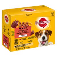 12x100g Pedigree Adult aszpikban nedves kutyatáp 10+2 ingyen