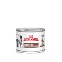 12x195g Royal Canin Veterinary Canine Recovery Ultra Soft Mousse nedves kutyatáp