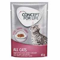 12x85g Concept for Life All Cats szószban nedves macskatáp