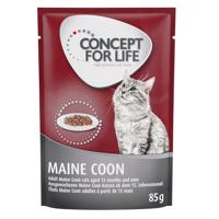 12x85g Concept for Life Maine Coon Adult nedvestáp-  száraztáphoz kiegészítés