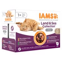 12x85g IAMS Advanced Nutrition Adult Land & Sea Mix szószban nedves macskatáp