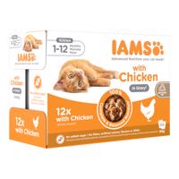 12x85g IAMS Advanced Nutrition Kitten csirke szószban nedves macskatáp