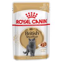 12x85g Royal Canin British Shorthair Adult szószban nedves macskatáp