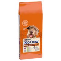 Dog Chow Senior