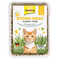 150g GimCat Hydro-Gras macskafűmag