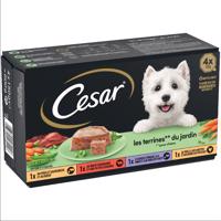 24x150g Cesar kerti terrine nedves kutyatáp vegyesen