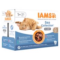 24x85g IAMS Advanced Nutrition Adult Sea Mix aszpikban nedves macskatáp