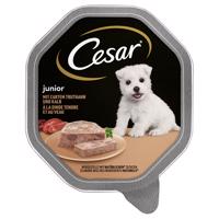 28x150g Cesar Junior tálcás nedves kutyatáp - Pulykával és borjúhússal