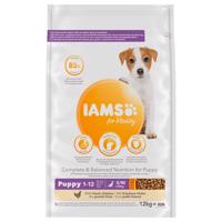 IAMS