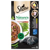 32x85g Sheba Nature's Collection szószban Finom változatosság nedves macskatáp