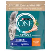 Purina One  Senior