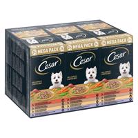 48x150g Ceasar tálcás megapack - Vidéki ragu nedves kutyatáp 42+6 ingyen