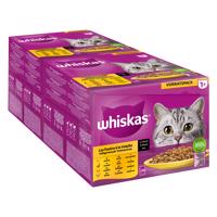 48x85g Whiskas 1+  szárnyasválogatás szószban nedves macskatáp