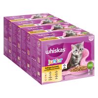 48x85g Whiskas Junior szárnyasválogatás aszpikban nedves macskatáp