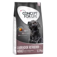 4x1,5kg Concept for Life Labrador Retriever száraz kutyatáp 10% kedvezménnnyel