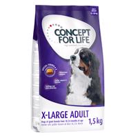 4x1,5kg Concept for Life X-Large Adult száraz kutyatáp 10% kedvezménnnyel