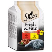 Sheba Fresh & Fine