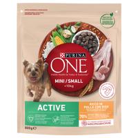 800g PURINA ONE Mini Active csirke & rizs száraz kutyatáp