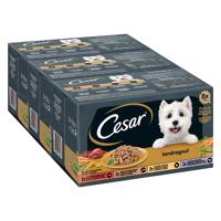 8x150g Cesar Country Kitchen Favourites nedves macskatáp vegyes csomag