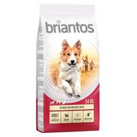 Briantos száraztáp gazdaságos csomagban - Adult csirke & rizs (2 x 14 kg)