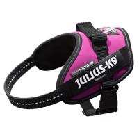 Julius-K9 IDC® powerhám, sötét pink - XS méret: 40-53 cm mellkörfogat