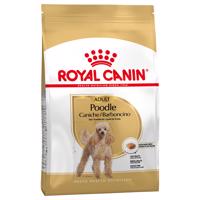 Royal Canin Poodle Adult - 1,5 kg